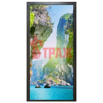 Стальная дверь с фотопечатью (бухта)